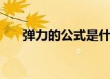 弹力的公式是什么（弹力的公式介绍）