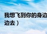 我想飞到你的身边是什么歌（我想飞到你的身边去）