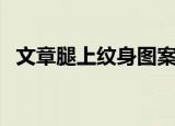 文章腿上纹身图案图片（文章腿上的纹身）