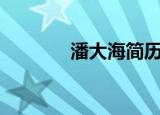 潘大海简历（pandahome）