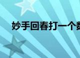 妙手回春打一个数（妙手回春打一生肖）