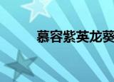 慕容紫英龙葵（慕容紫英喜欢谁）