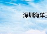 深圳海洋王（深圳海洋王）