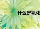 什么是氢化油（氢化油解释）