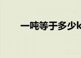一吨等于多少kg（一吨是多少千克）