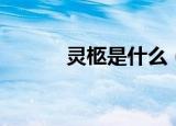 灵柩是什么（灵柩指的是什么）