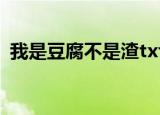 我是豆腐不是渣txt下载（我是豆腐不是渣）