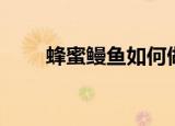 蜂蜜鳗鱼如何做（蜂蜜鳗鱼的做法）