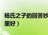 杨氏之子的回答妙在哪里（杨氏之子的回答哪里好）