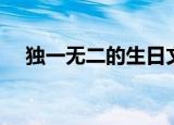 独一无二的生日文案（独一无二日文版）