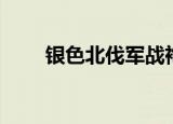 银色北伐军战袍（银色北伐军战袍）