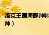 洛克王国海豚帅帅怎么获取（洛克王国海豚帅帅）