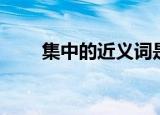 集中的近义词是什么（集中的意思）