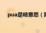 pua是啥意思（网络语pua是什么意思）