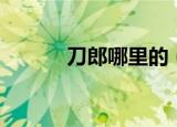 刀郎哪里的（功夫派刀郎在哪）