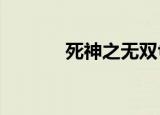 死神之无双txt（死神之无双）