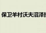 保卫羊村沃夫沼泽挂机（保卫羊村沃夫沼泽）