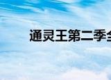通灵王第二季全集解说（通灵王ol）