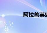 阿拉善英雄会（阿拉团购）