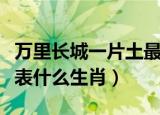 万里长城一片土最佳生肖（万里长城一片土代表什么生肖）
