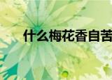 什么梅花香自苦寒来（是怎么解释的）