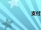 支付宝安全控制
