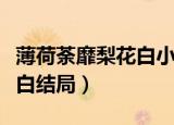 薄荷荼靡梨花白小说免费下载（薄荷荼靡梨花白结局）