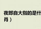 夜郎自大指的是什么（夜郎自大指的是什么生肖）