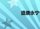 盛唐永宁txt（盛唐永宁）