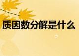 质因数分解是什么（简述分解质因数的定义）