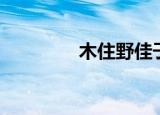 木住野佳子（木住野佳子）