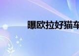 曝欧拉好猫车色名称（poler哥）