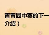 青青园中葵的下一句是什么（青青园中葵原文介绍）