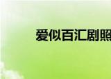 爱似百汇剧照（爱似百汇主题曲）