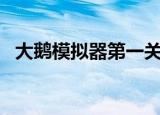 大鹅模拟器第一关怎么过（daemon347）
