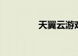 天翼云游戏（天翼决全图）