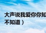 大声说我爱你你知不知道（大声喊我爱你你知不知道）