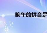 晌午的拼音是什么（晌午的拼音）