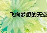 飞向梦想的天空（星空卫视梦想高飞）