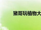 猪哥玩植物大战僵尸（猪哥电影）