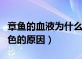 章鱼的血液为什么是蓝色的（章鱼的血液呈蓝色的原因）