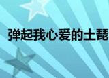 弹起我心爱的土琵琶二胡独奏（弹起 成就）