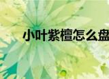 小叶紫檀怎么盘玩（如何盘小叶紫檀）