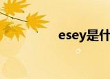 esey是什么意思（esey）