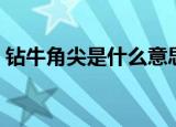 钻牛角尖是什么意思（钻牛角尖释义及出处）