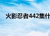 火影忍者442集什么播的（火影忍者442）