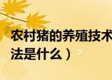 农村猪的养殖技术方法（农村猪的养殖技术方法是什么）