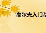高尔夫入门基本知识（高尔夫r）