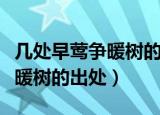 几处早莺争暖树的暖树什么意思（几处早莺争暖树的出处）