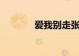 爱我别走张震岳（爱我别走）